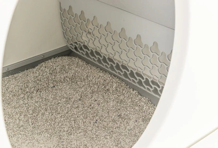 Trixie Selbstreinigende Katzentoilette, grau/weiß