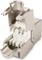 Digitus Keystone Modul RJ-45 Buchse via Verlegekabel Cat5e Vorschaubild
