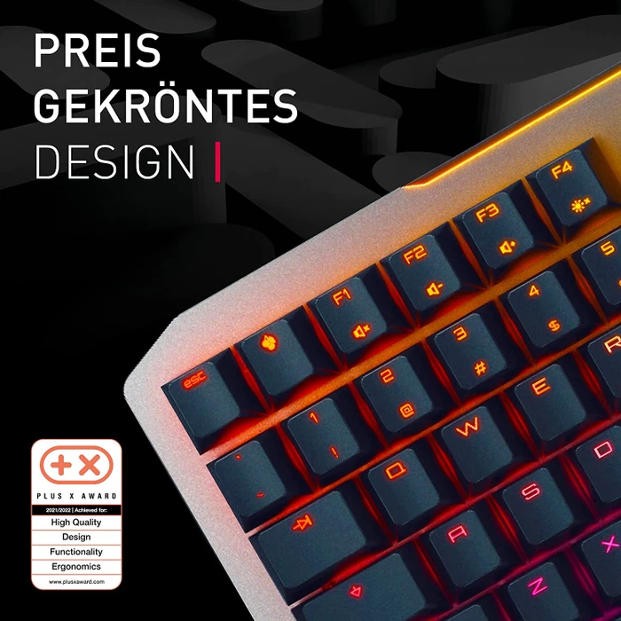 Cherry MV 3.0, LEDs RGB, grau/schwarz, Cherry VIOLA, USB, DE