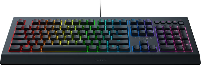 Razer Cynosa V2, USB, IT