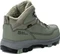 Jack Wolfskin Everquest Texapore Mid dusty olive (Herren) Vorschaubild