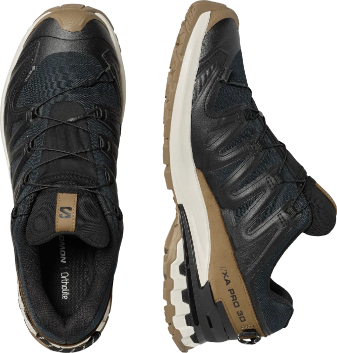 Salomon XA Pro 3D V9 GTX Lifelong black/coyote brown/vanilla ice (Herren)