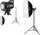 Godox SL60W Duo Kit