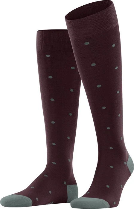 Falke Dot Socken barolo (Herren)