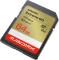 SanDisk Extreme GO R170/W80 64GB, UHS-I, Class 10 Vorschaubild