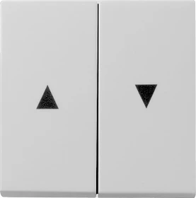 Gira Wippe 2fach mit Pfeilsymbol, grau matt