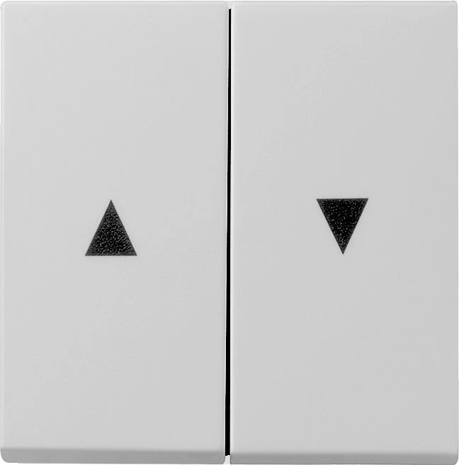 Gira Wippe 2fach mit Pfeilsymbol, grau matt