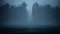 Reanimal (Download) (PC) Vorschaubild