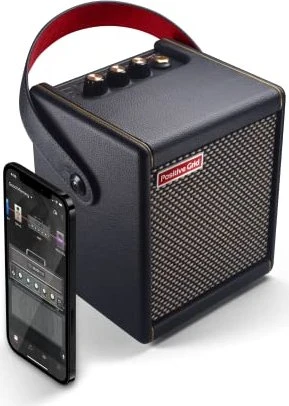 Positive Grid Spark MINI Black