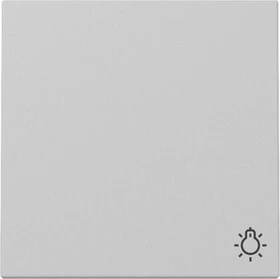 Gira Wippe mit Symbol Licht, grau matt