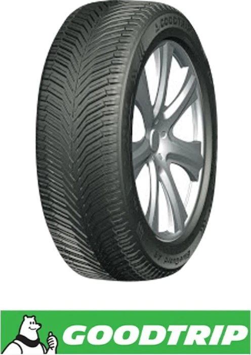 Goodtrip BlueGuard AS 225/55 R18 98V