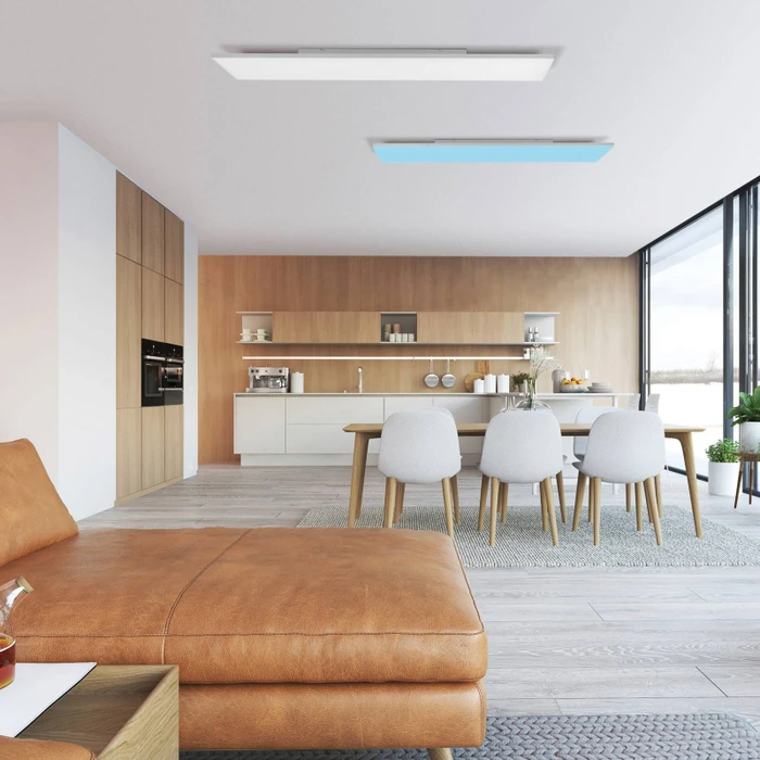 Paul Neuhaus Q-Frameless LED Panel 120x30 39W