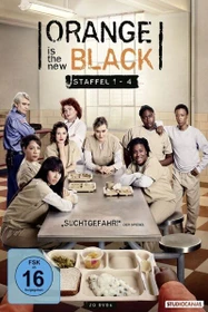 Orange Is the New Black - Staffel 1-4 (DVD)
