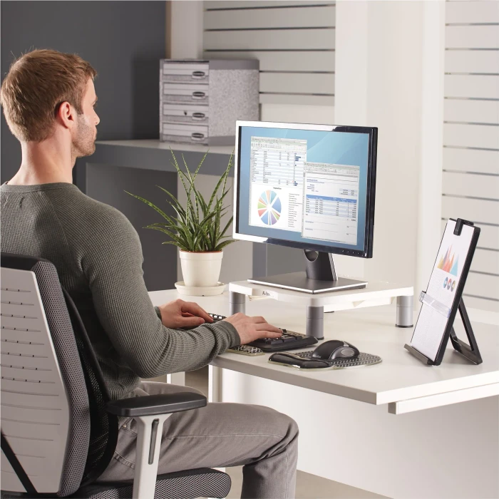 Fellowes Standard Monitor Ständer