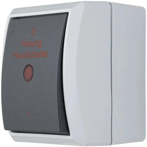 REV Ritter AquaForm Heizung Hauptschalter AP IP 44, grau