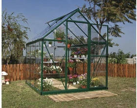 Palram Canopia Harmony 6x6 Gewächshaus grün