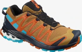 Salomon XA Pro 3D V8 bistre/navy blazer/bluebird (Herren)