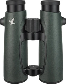 Swarovski EL 10x42 WB grün