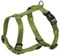 Nobby Classic Geschirr XS-S, verschiedene Farben Vorschaubild