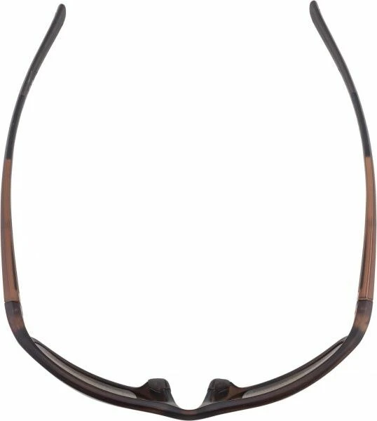 Alpina Defey brown transparent matt/ceramic mirror gold