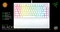 Razer BlackWidow V4 75%, White, hot-swap, Razer ORANGE Tactile Gen-3, USB, US Vorschaubild