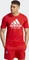 adidas FC Bayern München DNA Graphic T-Shirt kurzarm rot (Herren) Vorschaubild