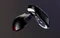 Pulsar Gaming Gears X2A v3 eS Medium Wireless schwarz, USB Vorschaubild