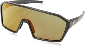 Alpina Ram Q-Lite black matt