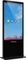 ViewSonic EP5542, 55" Vorschaubild