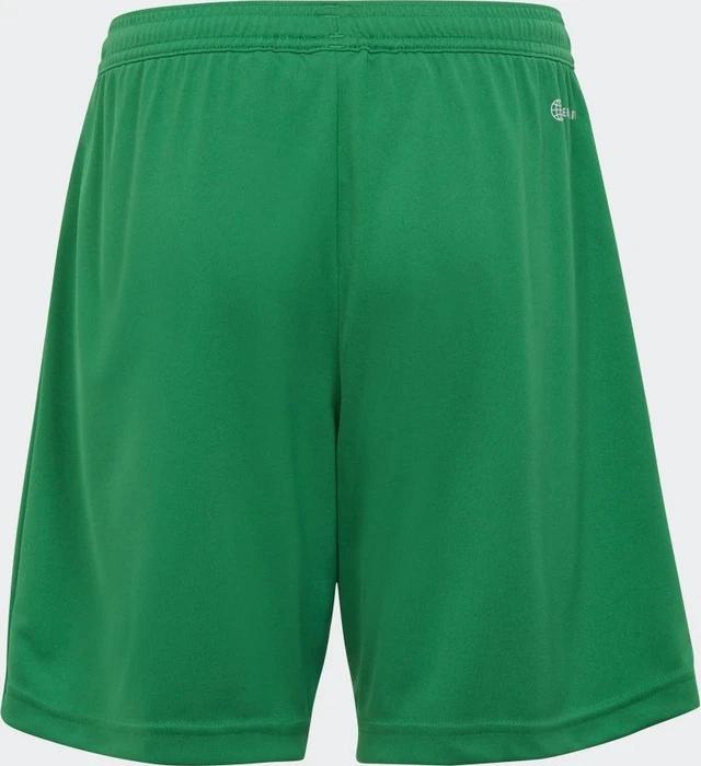 adidas Entrada 22 Shorts team green (Junior)