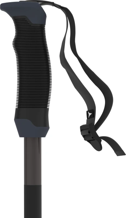 Atomic AMT SQS Alpin Skistock schwarz (Modell 2024/2025)