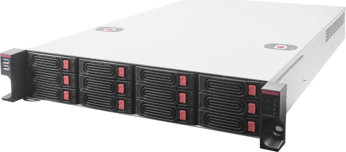SilverStone RM22-312, Rackmount Storage, grau/schwarz, 2HE