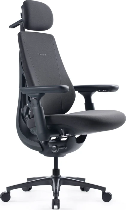 LiberNovo Maxis Electric, graphit
