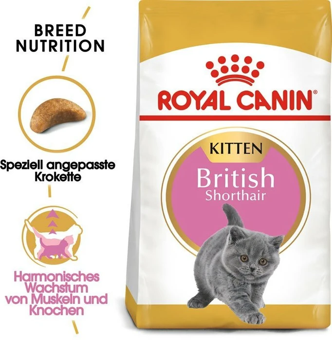 Royal Canin British Shorthair Kitten, 400g