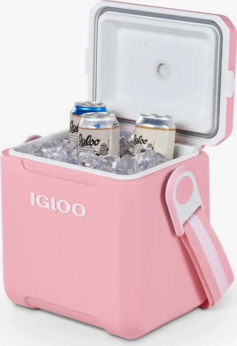 Igloo Tag Along Too Passiv-Kühlbox blush
