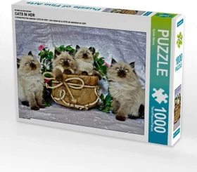 Calvendo Ein Motiv aus dem Kalender Cats in HDR