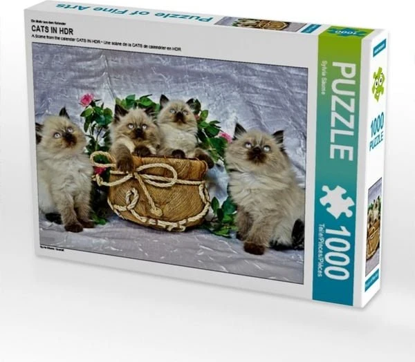 Calvendo Ein Motiv aus dem Kalender Cats in HDR