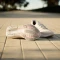 adidas Ultraboost Light chalk white/clear pink (Damen) Vorschaubild