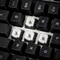 Das Keyboard X50Q, Omron Gamma-Zulu, USB, US Vorschaubild