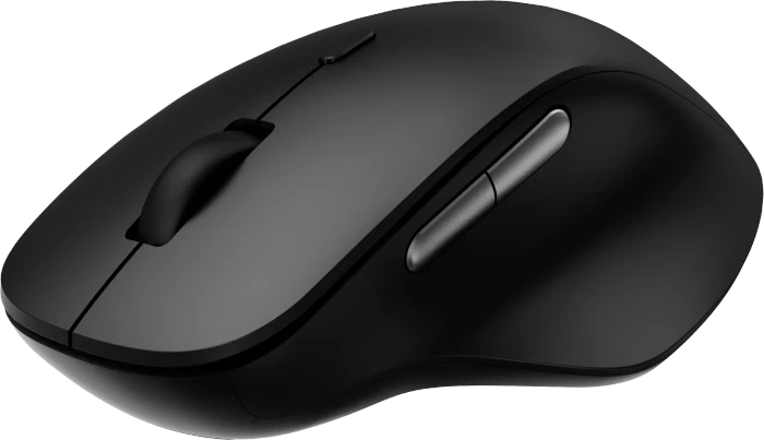 Rapoo M50 Plus Silent Wireless Mouse schwarz, USB