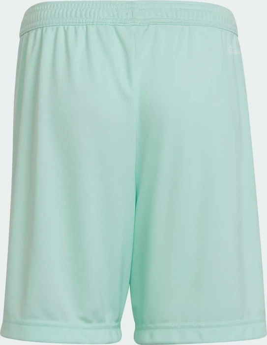 adidas Entrada 22 Shorts clear mint (Junior)