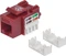 Intellinet Keystone Modul RJ-45 Buchse via Verlegekabel Cat5e, rot Vorschaubild