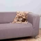 Trixie Decke Laslo, 75x50cm, beige Vorschaubild