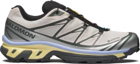 Salomon XT-6 GTX silver cloud/urban chic/shadow green