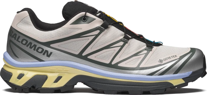 Salomon XT-6 GTX silver cloud/urban chic/shadow green