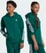 adidas Future Icons 3-Streifen Hoodie collegiate green/white (Junior) Vorschaubild