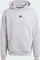 adidas Designed for Training Hoodie glory grey (Herren) Vorschaubild