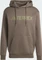 adidas Terrex Multi Large Logo Hoodie shadow olive (Herren) Vorschaubild