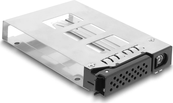 DeLOCK 5.25" Wechselrahmen, 4x 2.5" SATA/SAS