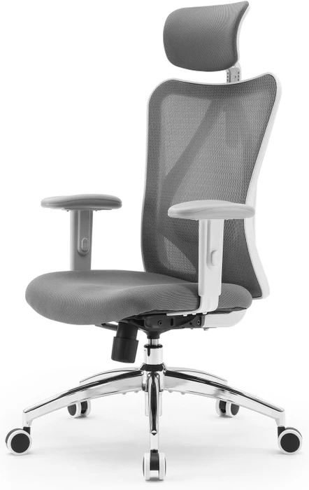 Sihoo M18 Burostuhl
